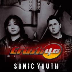 Crush 40 : Sonic Youth